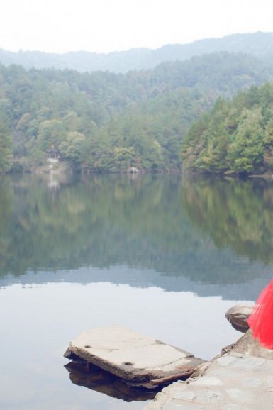 开运体育(中国)官方网站-今年西藏造林将超100万亩人工造林40万亩以上