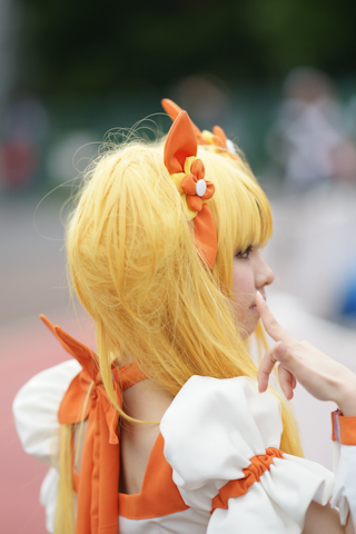 河南省完善集体林权制度探索开展“三权”分置‘开运 SPORTS’